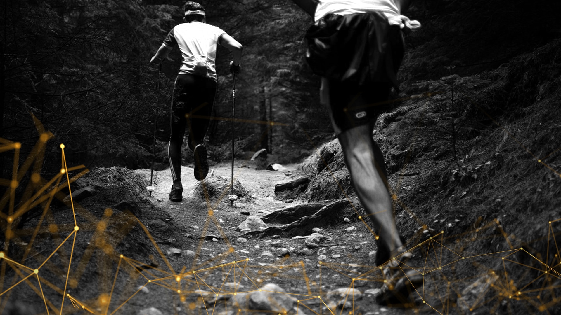Can Endurance Training Kill Testosterone?