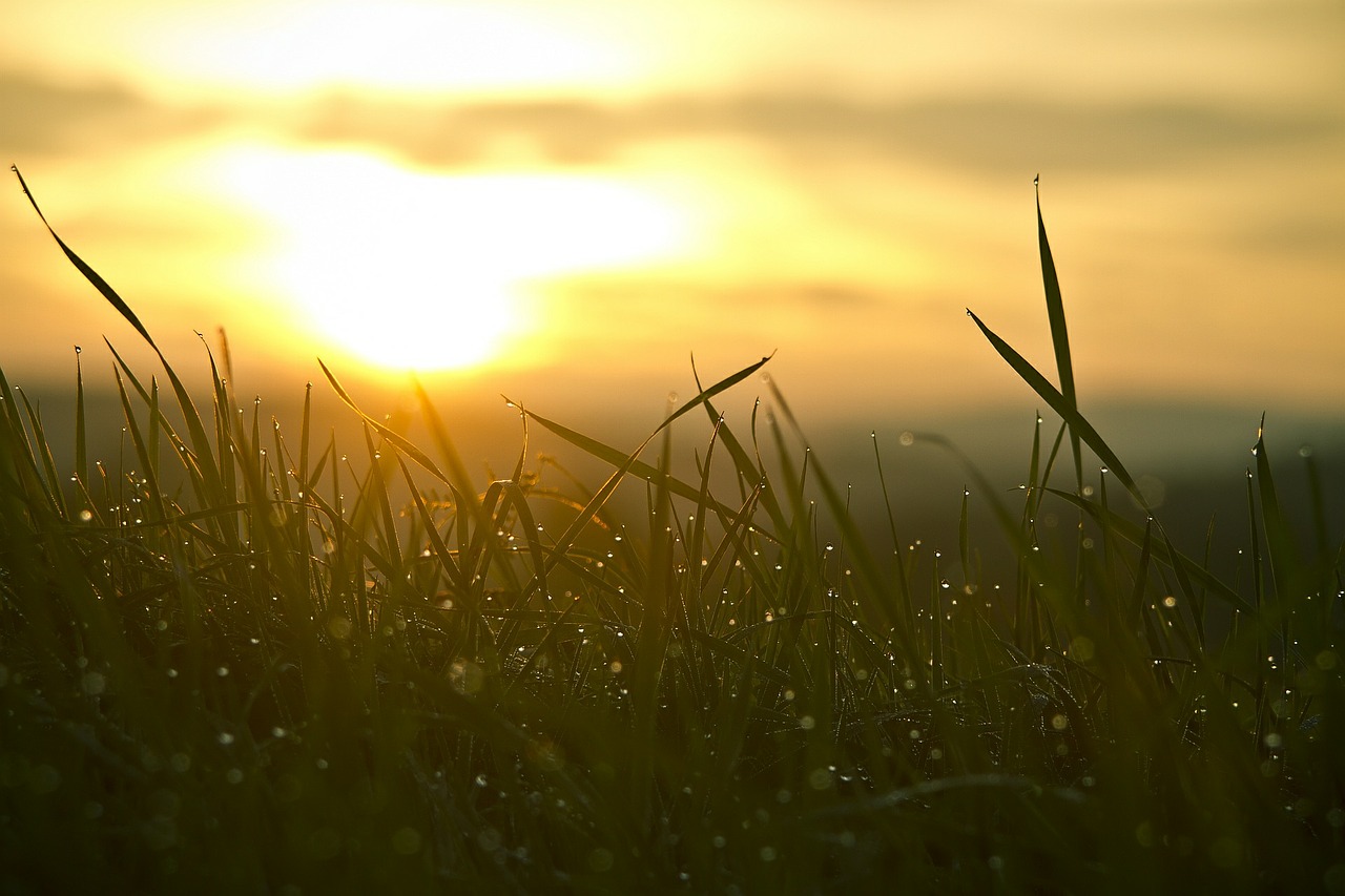 How I Turned from Night Owl into Early Bird and Doubled My Productivity