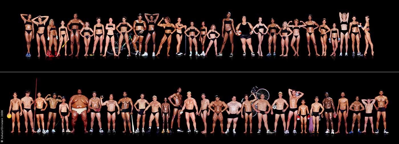 athletes body types