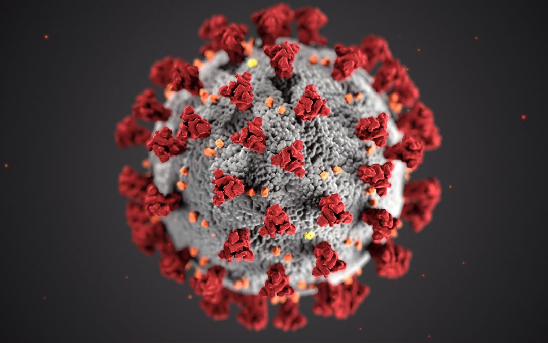 Korona vírus – Myslou pozitívny, na testy negatívny