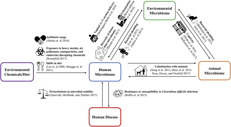 microbial interactions